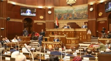 تقييد الهواتف بالمدارس.. مجلس الشيوخ يناقش سياسات حماية الأطفال من مخاطر المحمول